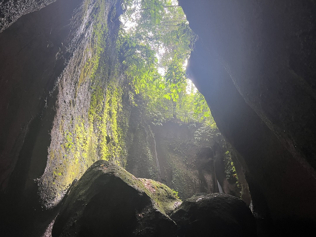 Заказали экскурсию у этого гида на целый день. Экскурсия очень понравилась. Гид индонезиец, хорошо говорит по-русски
