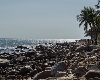 Возвращение домой