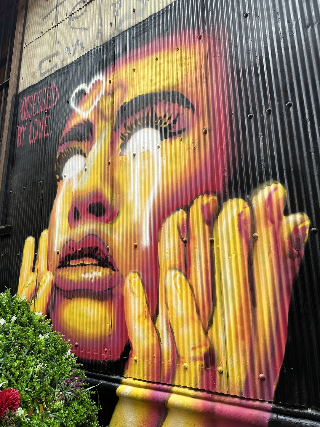 Организовано всё отлично! Провели шикарный день в Чили! Очень рекомендуем данный маршрут!