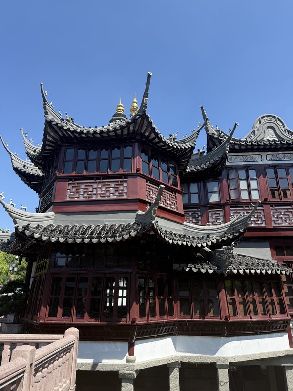 Шанхай - максимум за 4 часа