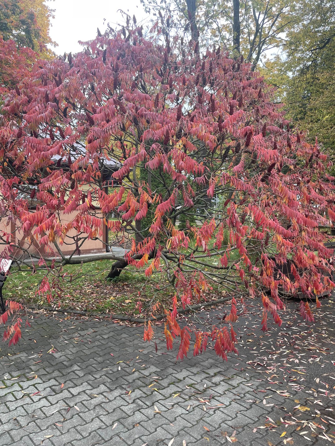 Экскурсия очень понравилась, мы были с маленьким ребенком (3,5 годика). Программа интересная, маршрут продуманный. Много интересных