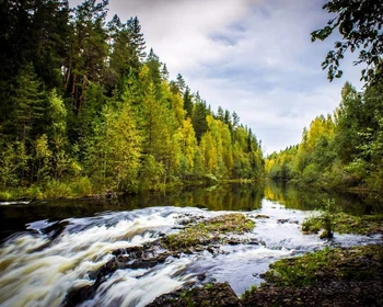Водопады, дегустация минеральной воды, подъём на гору Сампо