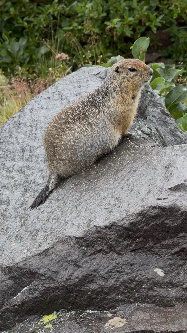 Прекрасный тур на 7 дней на Камчатку. Каждая экскурсия была наполнена активностями, завораживающими видами и интересными