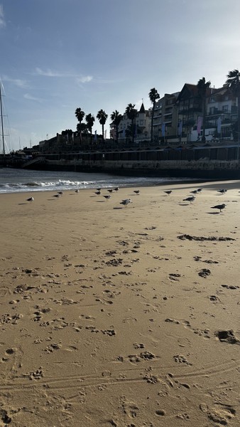 Экскурсия к Мысу Кабо да Рока и в рыбацкую деревеньку стала одним из самых ярких впечатлений