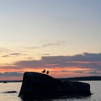 reviews img