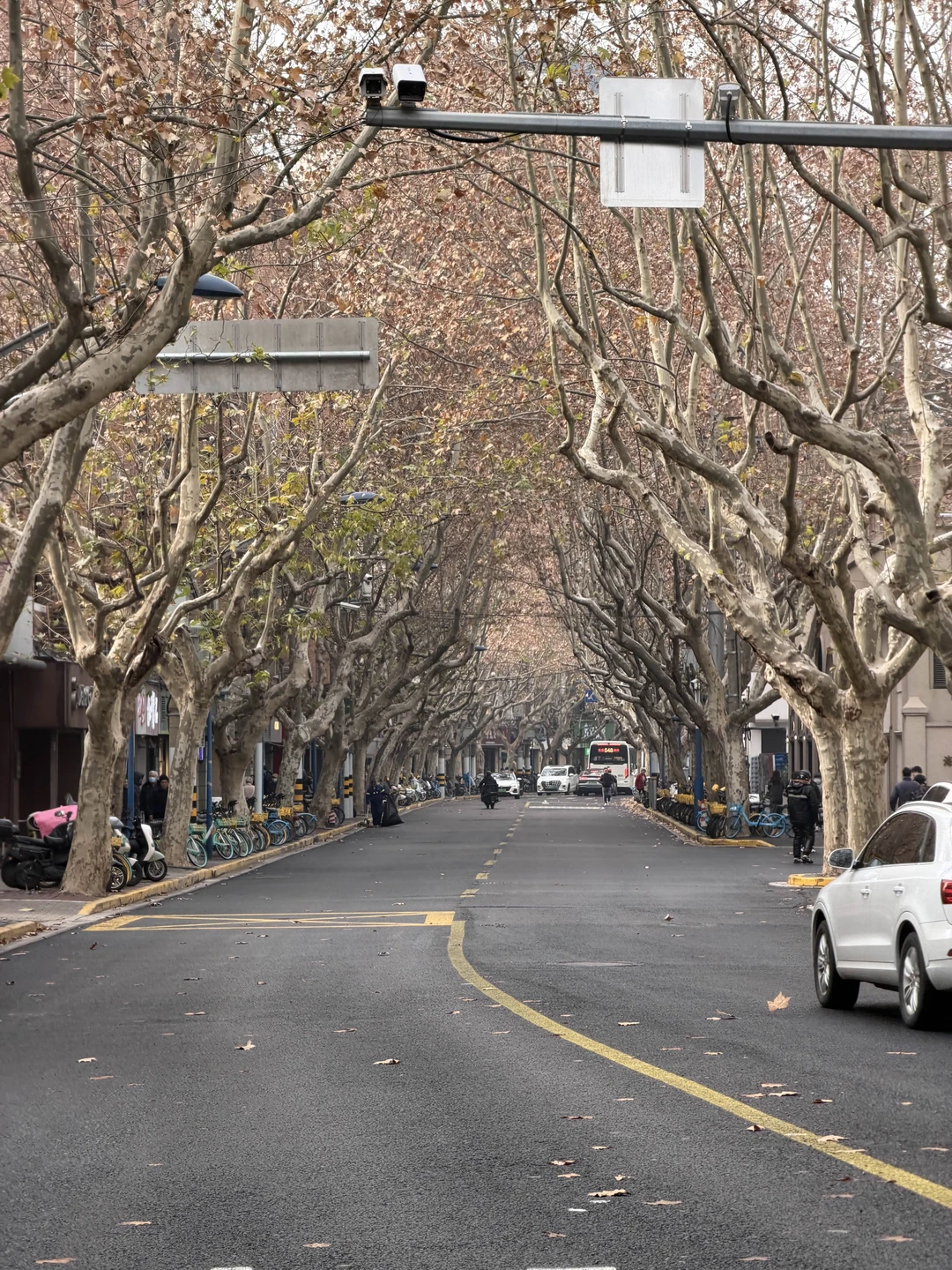 Были в Шанхае проездом. Прилетели в 7 утра, Гордей встретил нас в аэропорту и помог сдать багаж