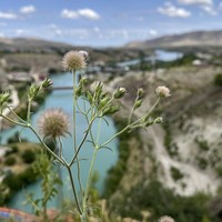 Фото отзыва 1: экскурсия "Сулакский каньон и бархан Сарыкум: между водой и пустыней"