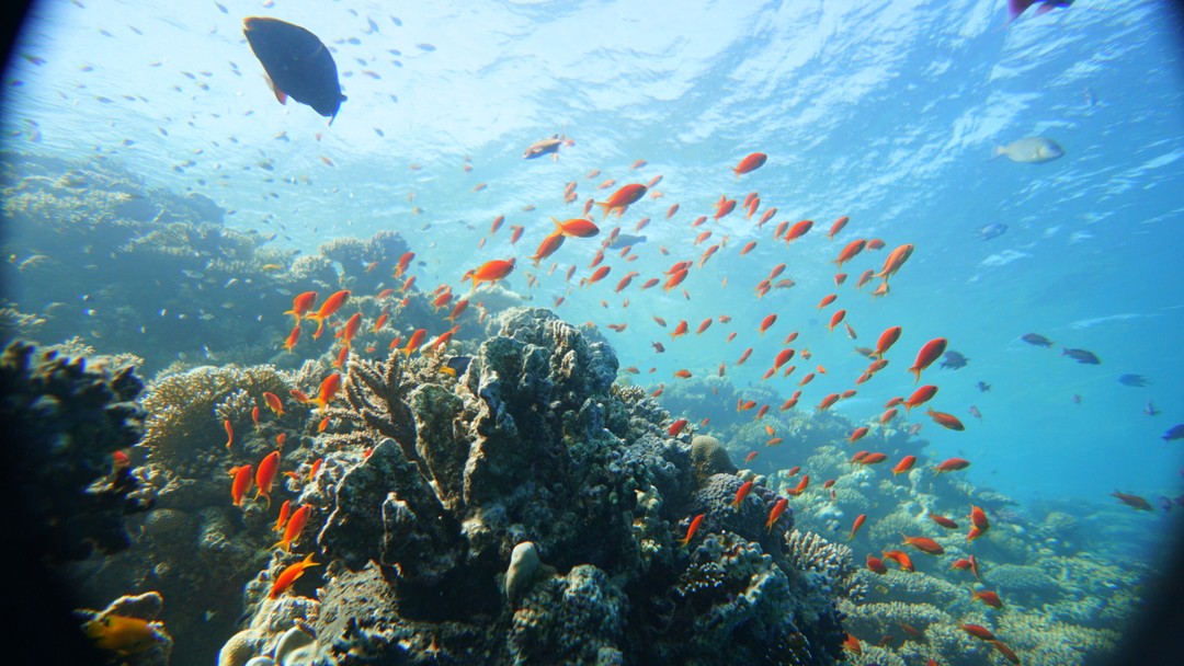 Вадим - прекрасный инструктор! Нам очень все понравилось, было страшно, охватила паника, но он профессионально и
