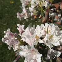 Фото отзыва 6: экскурсия "По&nbsp;парку Галицкого&nbsp;— в&nbsp;мини-группе"