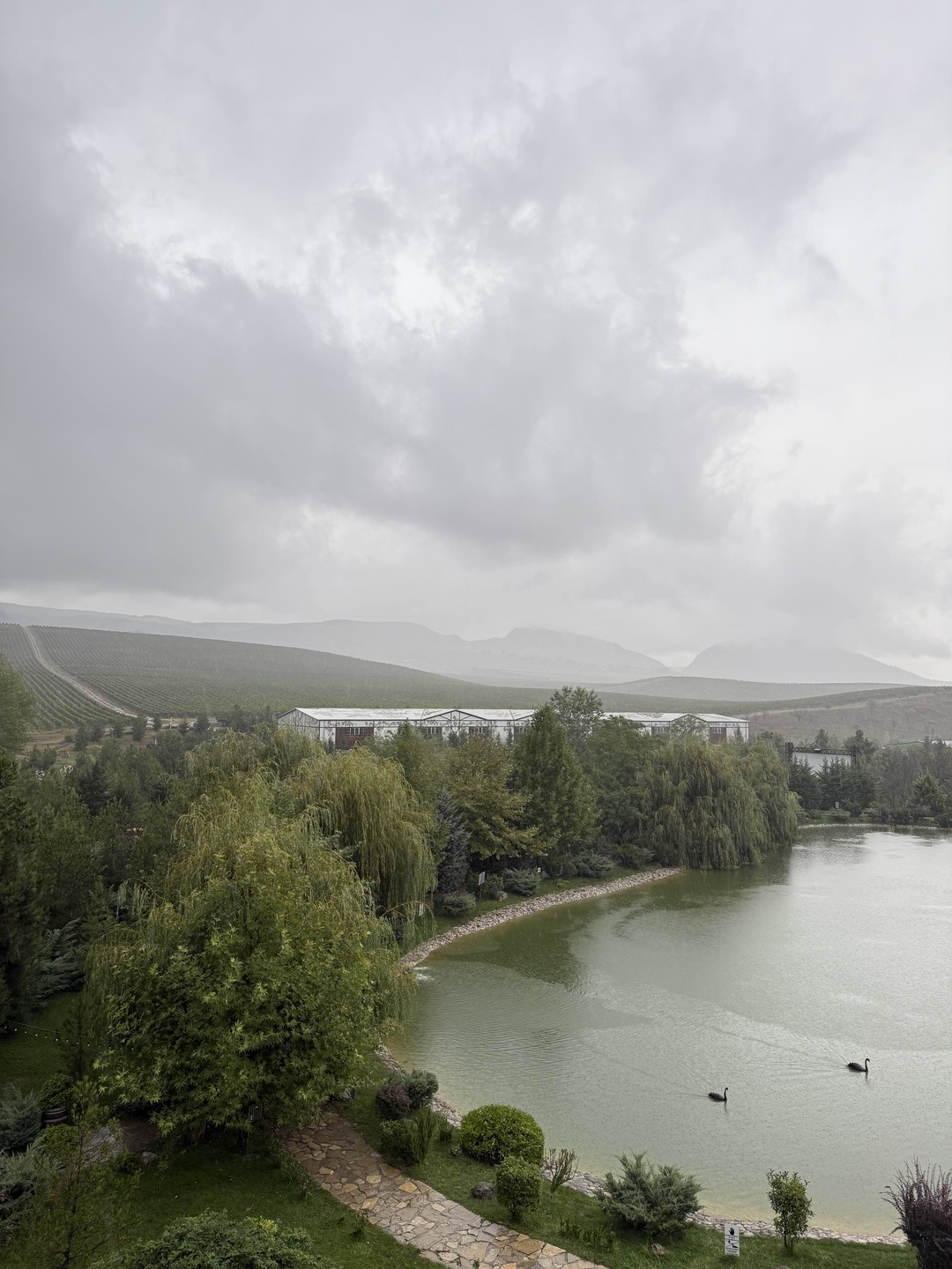 Азербайджан: горы, вино и ремесло (Дарья)