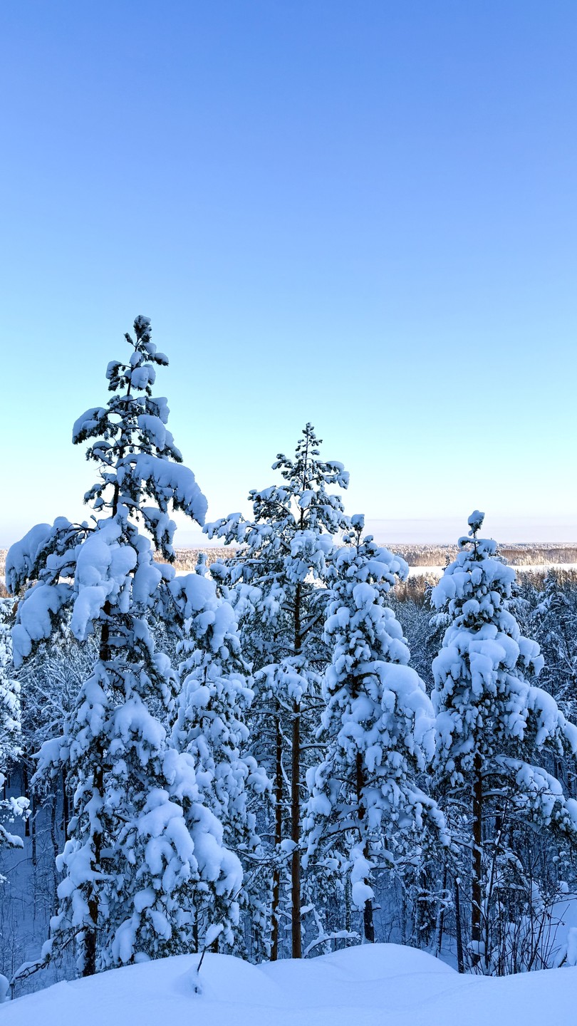 Очень благодарны Игорю за экскурсию по золотому кольцу Карелии. Его рассказы в пути сделали даже длинные