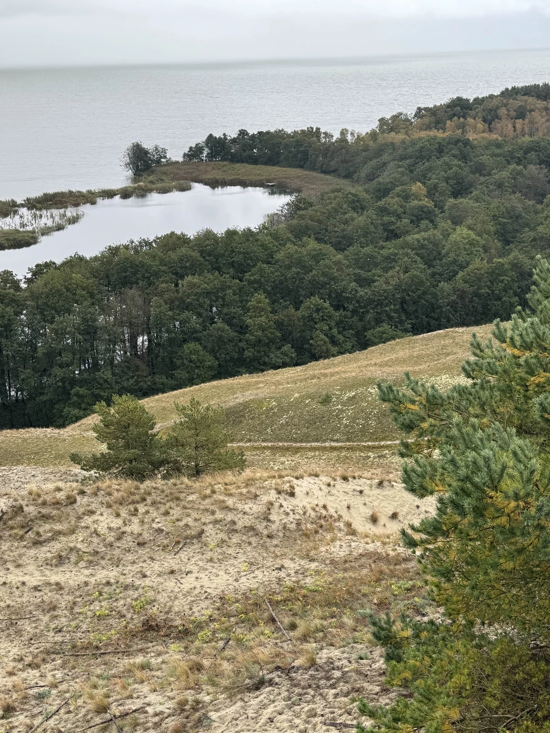 Прекрасная экскурсия. Все четко организовано. Интересный рассказ об истории и природе края с дополнительными иллюстрациями. Забота