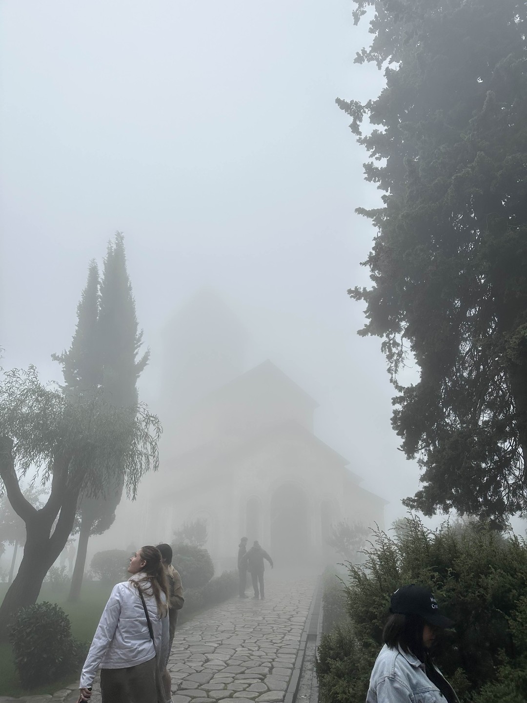 Винное приключение по Кахетии: Сигнахи, монастырь Бодбе, Телави (Софья)