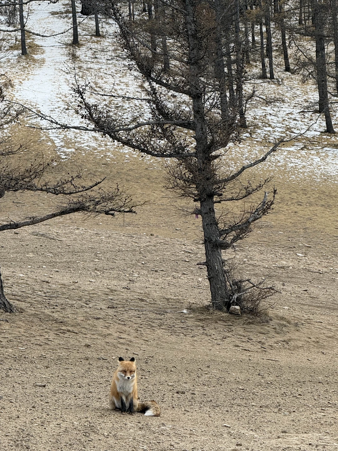 Отличная поезда. Огромное спасибо Сергею. Все очень продуманно. Доехали до самой северной точки острова. Незабываемые виды