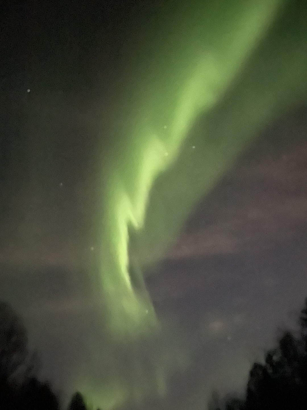 Северное сияние: на поиски солнечного ветра (Елена)
