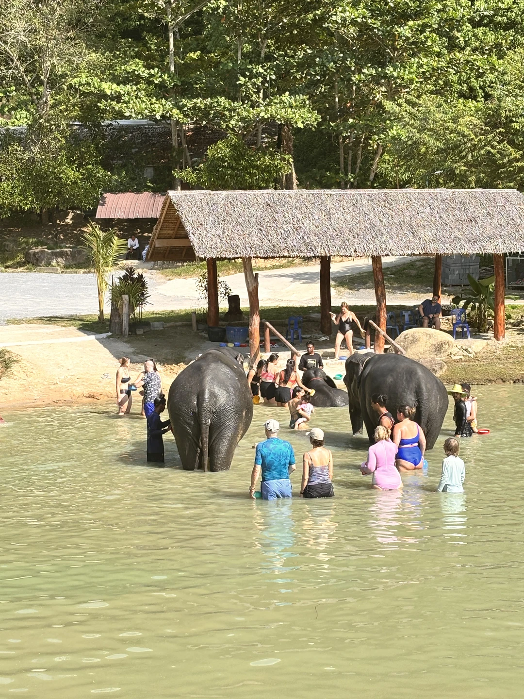 Большое спасибо хочется выразить Сабри, за прекрасно организованную экскурсию в слоновник! Сабри оказался глубоким знатоком как