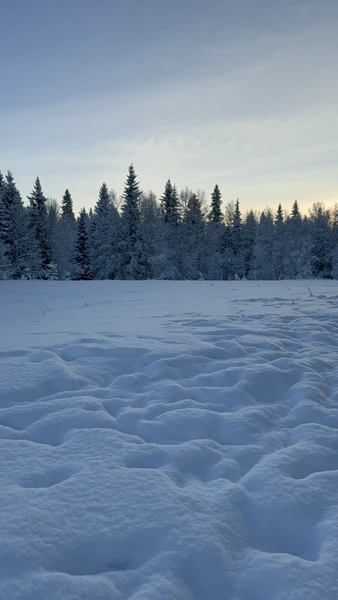 Замечательная экскурсия! Не первый раз пользуемся услугами гида Сергея. Были и летом, и зимой. Сергей великолепный