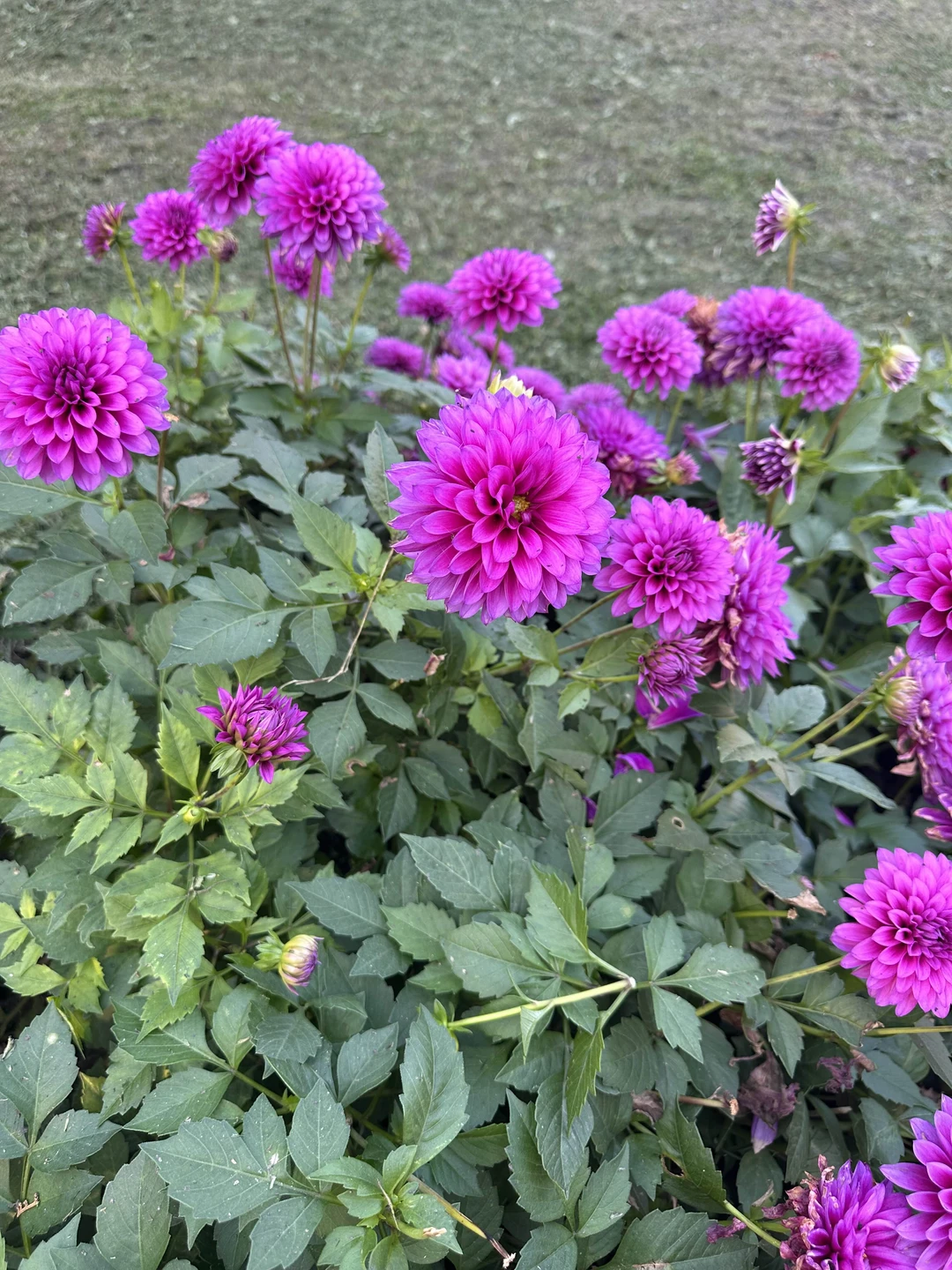 Экскурсию проводил Алексей. Сколько нового и интересного мы узнали. Человек очень увлечен тем, что делает. Пятигорск,