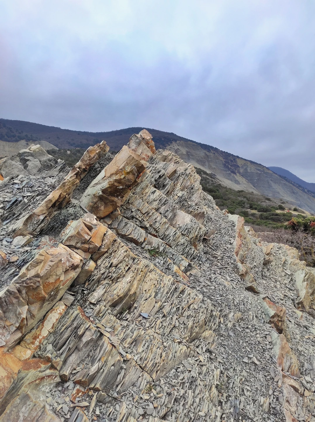 Побывали на экскурсии в Большом Утрише с Дмитрием. Экскурсия, несмотря на не совсем комфортные погодные условия