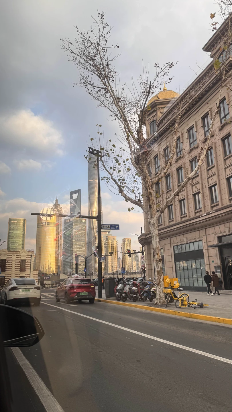 Весь Шанхай за один день (Анастасия)