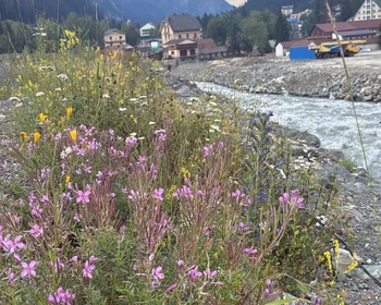 Знакомство с Домбаем