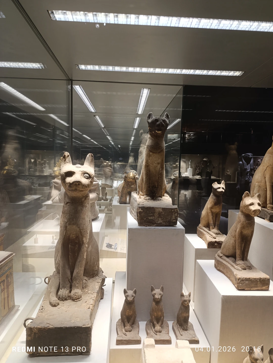 Магия Древнего Египта: экскурсия в археологический музей Шарм-эль-Шейха (Жанна)