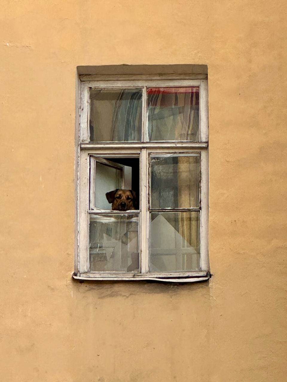 Огромное спасибо за потрясающую экскурсию! Это не просто прогулка по городу – это настоящее путешествие во