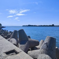 reviews img