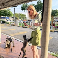 Фото отзыва 2: экскурсия "Серебристые обезьяны и река светлячков — из Куала-Лумпура на север"