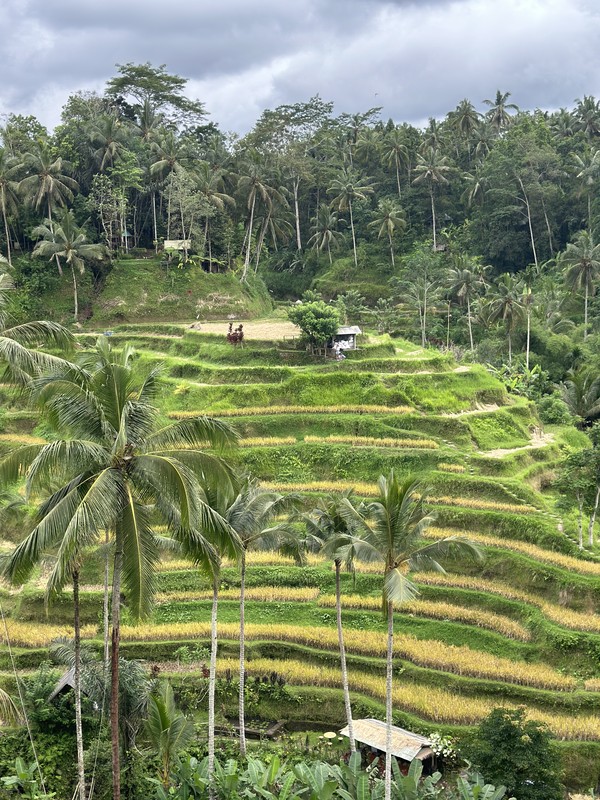 Бали - первое свидание