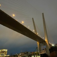 Фото отзыва 6: экскурсия "Морская прогулка во Владивостоке: под мостами и закатными огнями + дегустация"