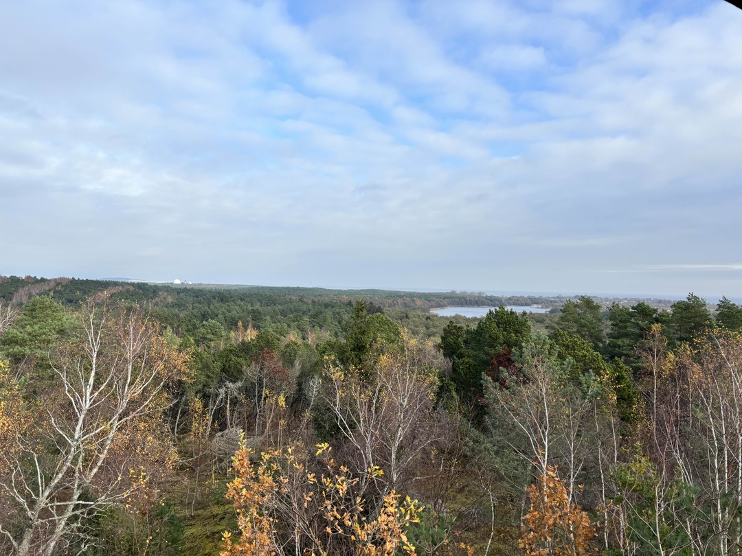 Великолепная экскурсия, огромное спасибо Александру!
