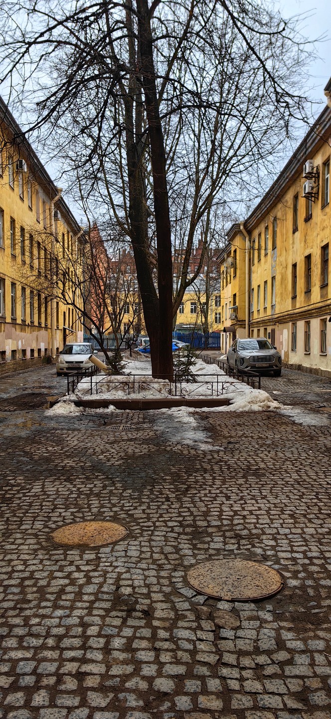 Квест-прогулка «По тайным тропам Васильевского острова» (Анна)