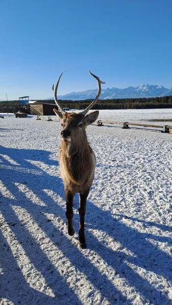 Аршан и купание в горячих источниках: экскурсия в мини-группе (Звонкова)