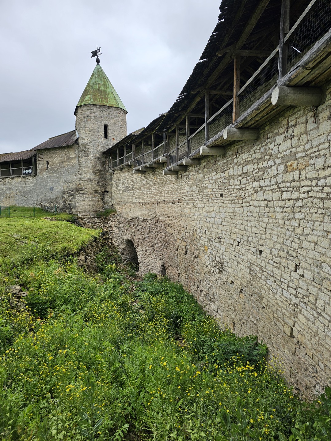 Обзорная пешеходная экскурсия по Кремлю и центру Пскова (Анна)