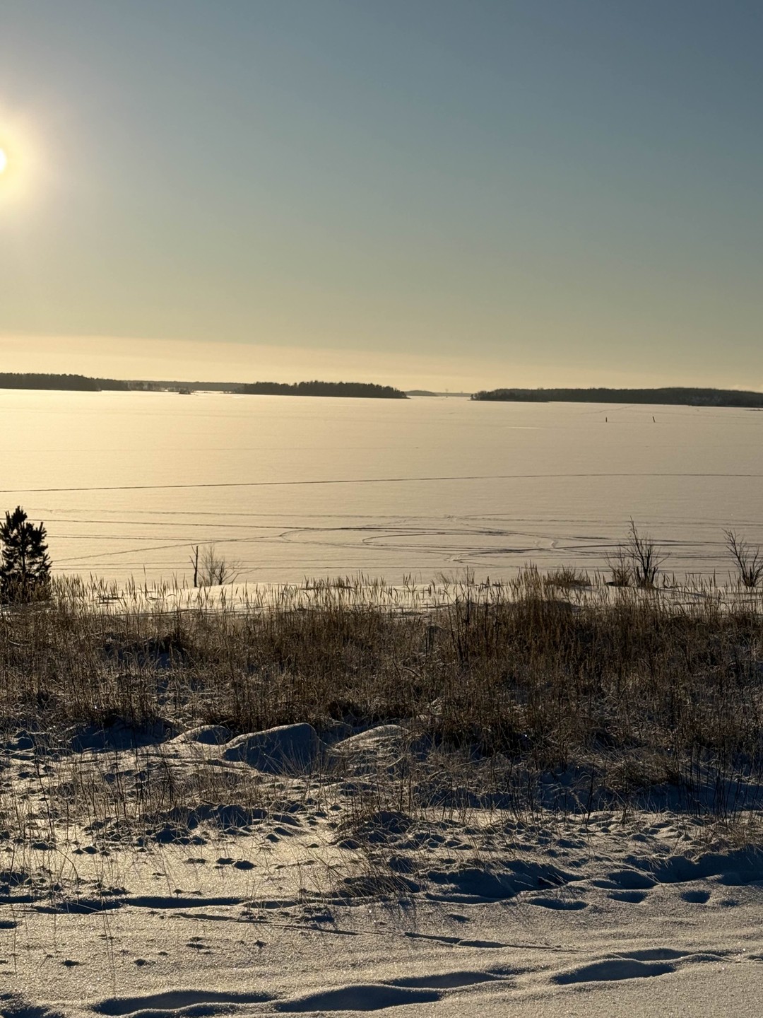 Отличная интересная прогулка по Выборгу и его окрестностям