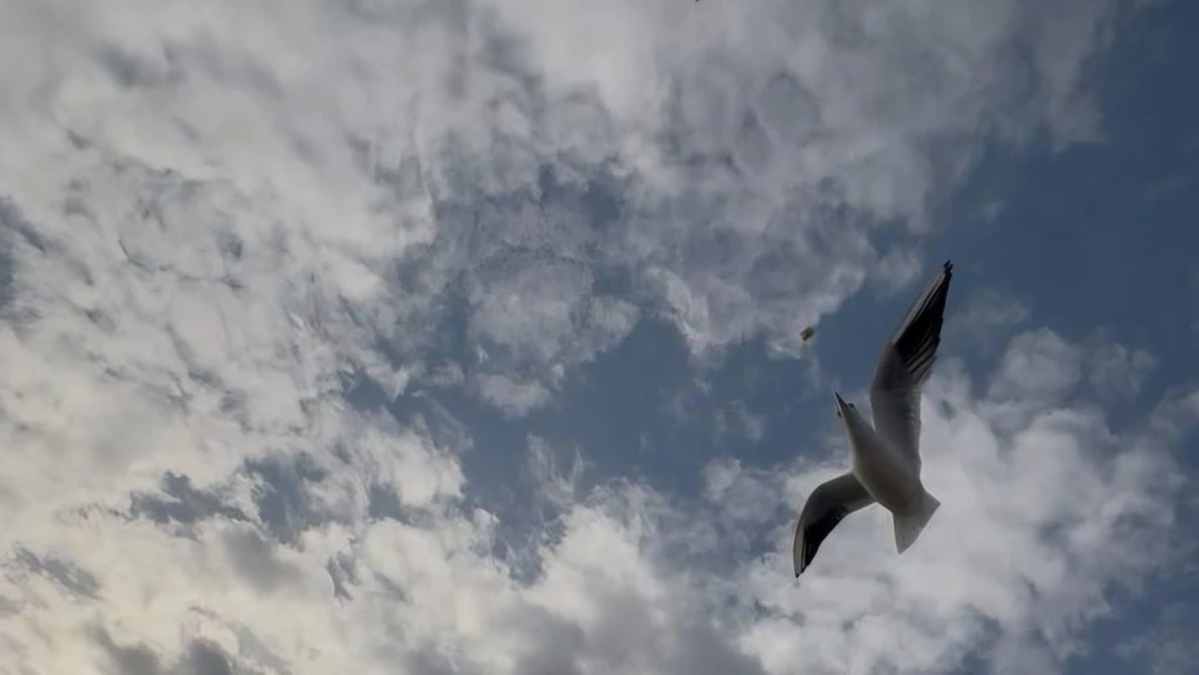 Морская прогулка