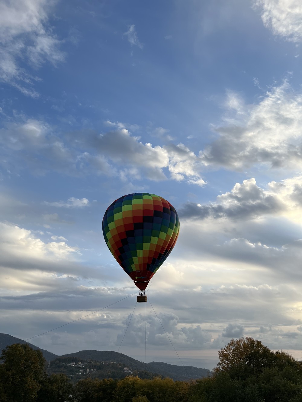 Из Сочи — на экоферму, винодельни и чайные плантации (10/10)