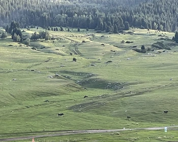 Каракольское ущелье, Музей Пржевальского, Семёновское и Григорьевское ущелья