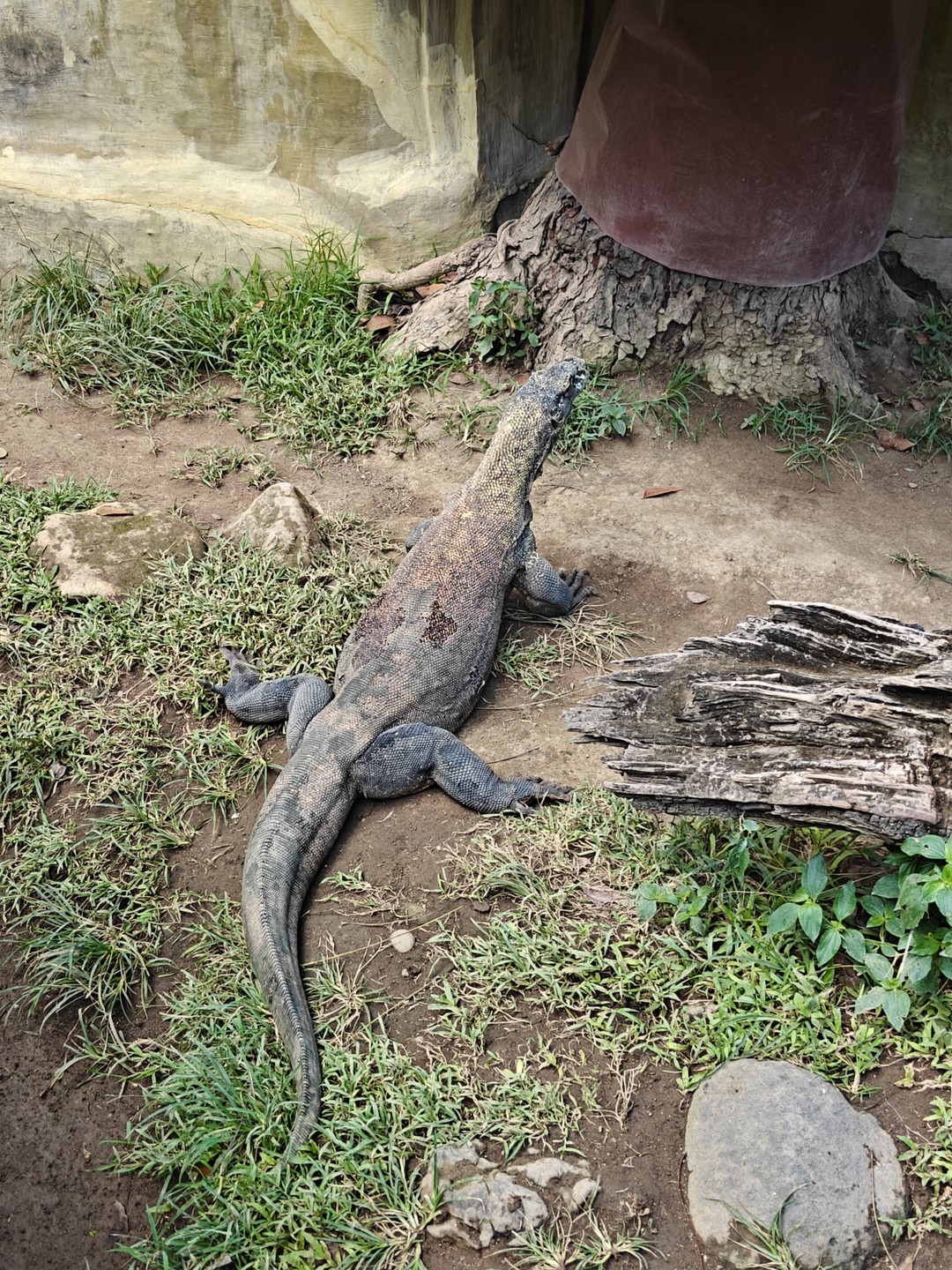 Обзорное путешествие по Бали (Ирина)