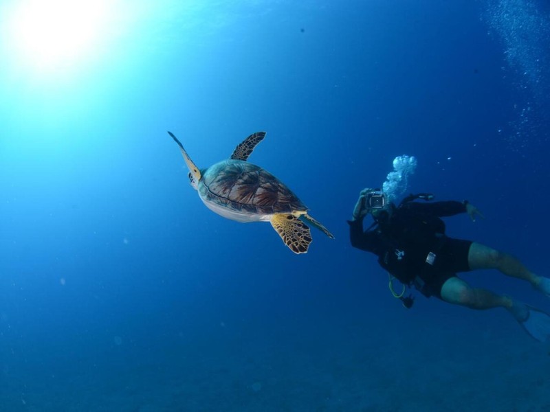 Дайвинг-приключение в Анталье с опытным инструктором + обед