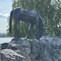 Фото отзыва 4: экскурсия "Знакомство с Красноярском"