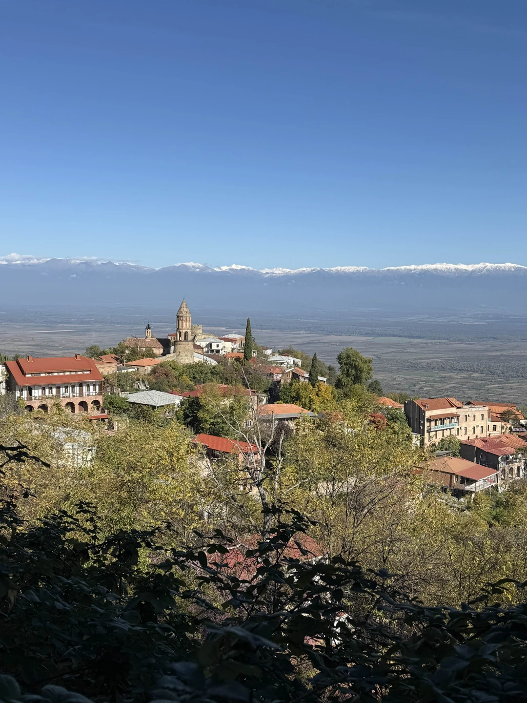 Гоча - отличный экскурсовод и организатор! Мы не только увидели много красивых мест, но и узнали