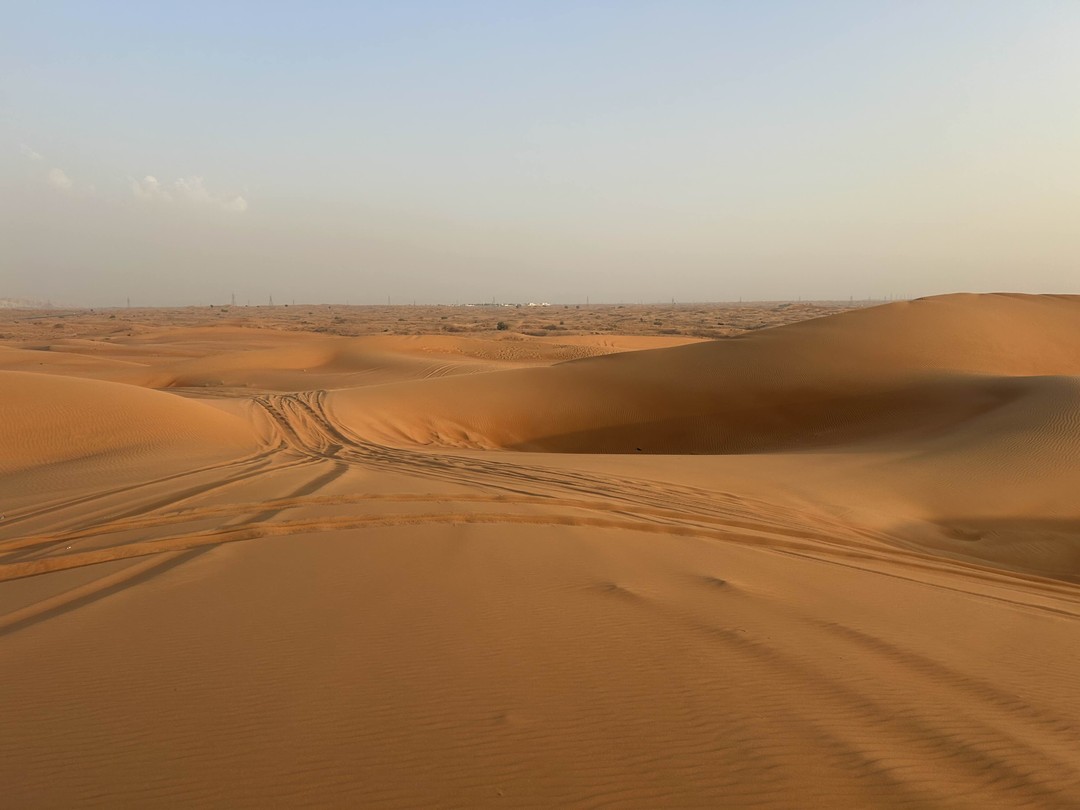 Все прошло замечательно!