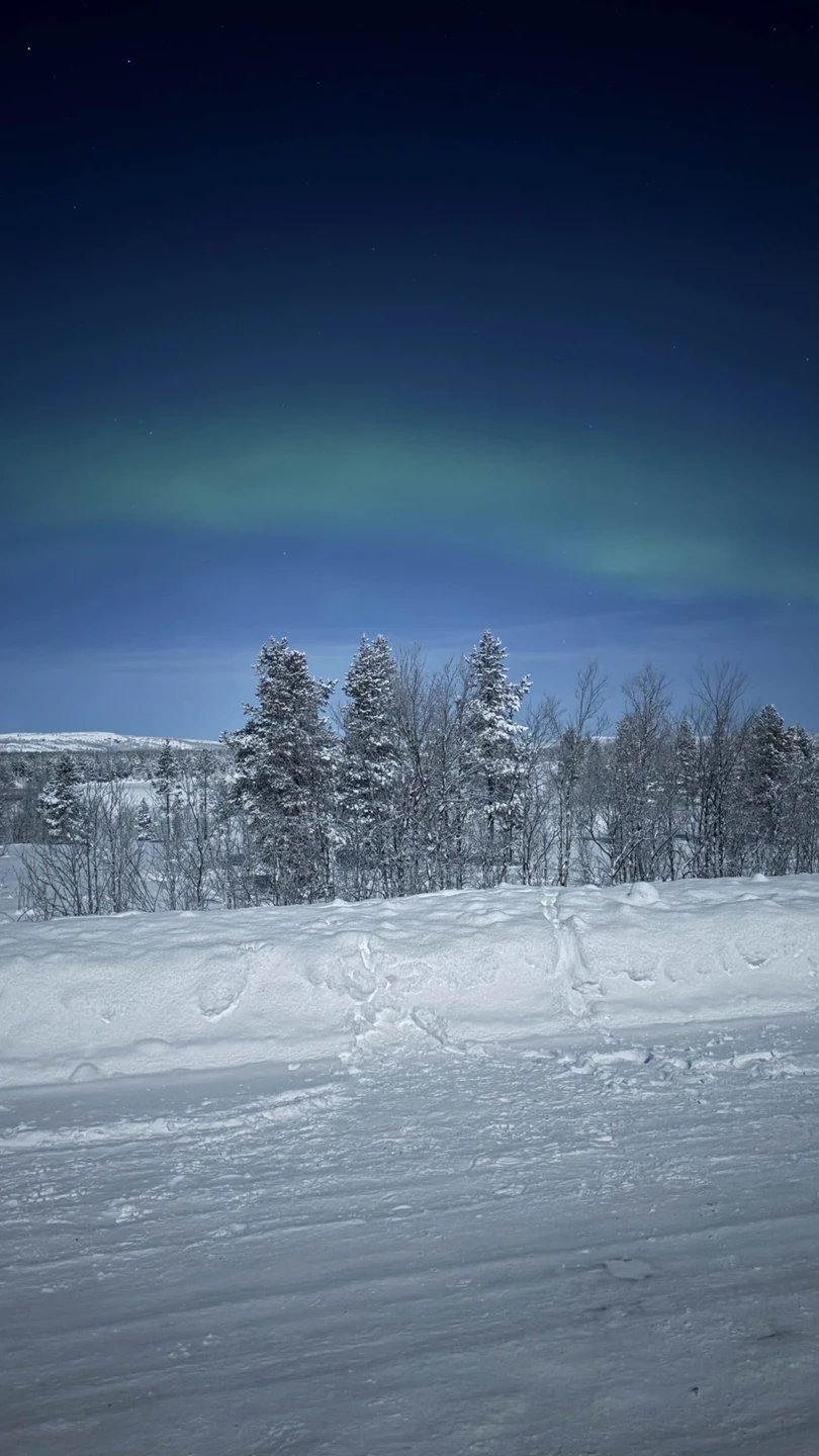 Очень понравилась новогодняя охота на сияние! Гиды точно знали куда ехать, на второй же остановке вышли