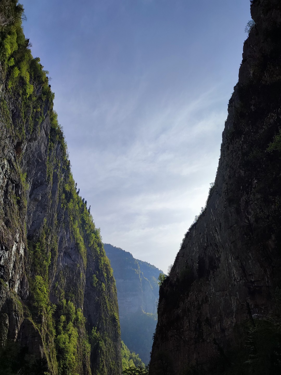 Чары Абхазии (из Сочи) (Валентина)