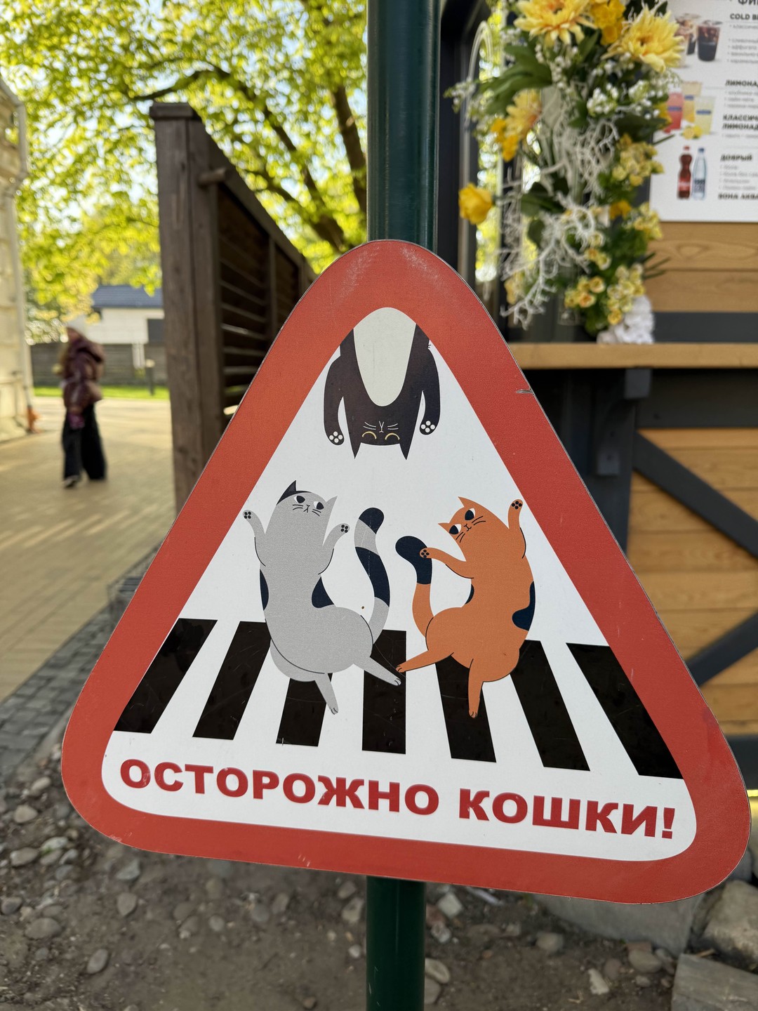 Куршская коса, Форт № 3 и Зеленоградск: в погоне за пейзажами (Юлия)