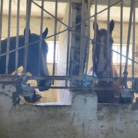 Фото отзыва 2: экскурсия "Квест по усадьбе фон Дервиза в посёлке Старожилово"