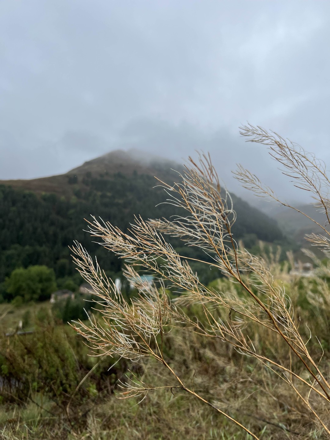 Ездили с Алексеем 11.09.25, с погодой нам не повезло, весь день шел дождь и многое не