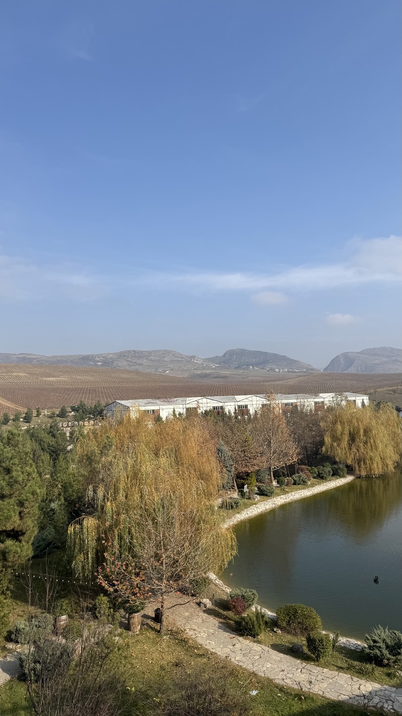 Отличная экскурсия, огромное спасибо аж двум нашим гидам - Севиндику и Моису! Все было на высшем